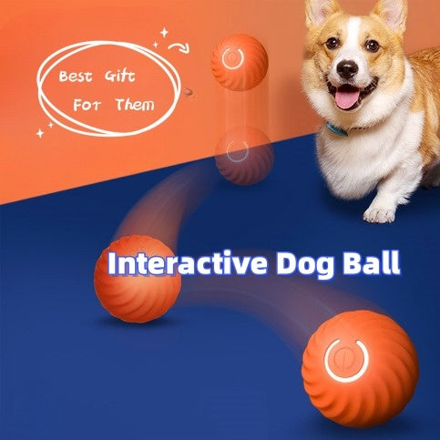 Interaktiver Hunde-Spielball, Bewegung & Spaß für Haustiere