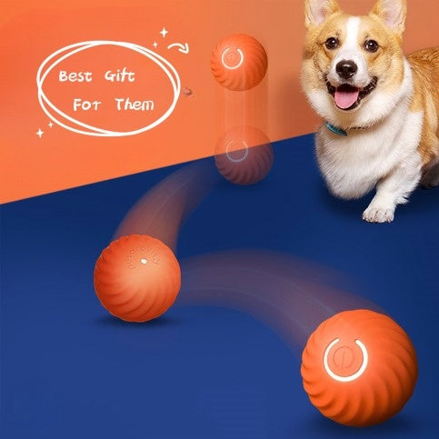 Interaktiver Hunde-Spielball, Bewegung & Spaß für Haustiere