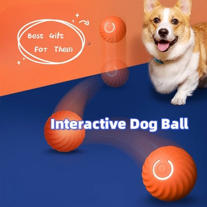 Interaktiver Hunde-Spielball, Bewegung & Spaß für Haustiere